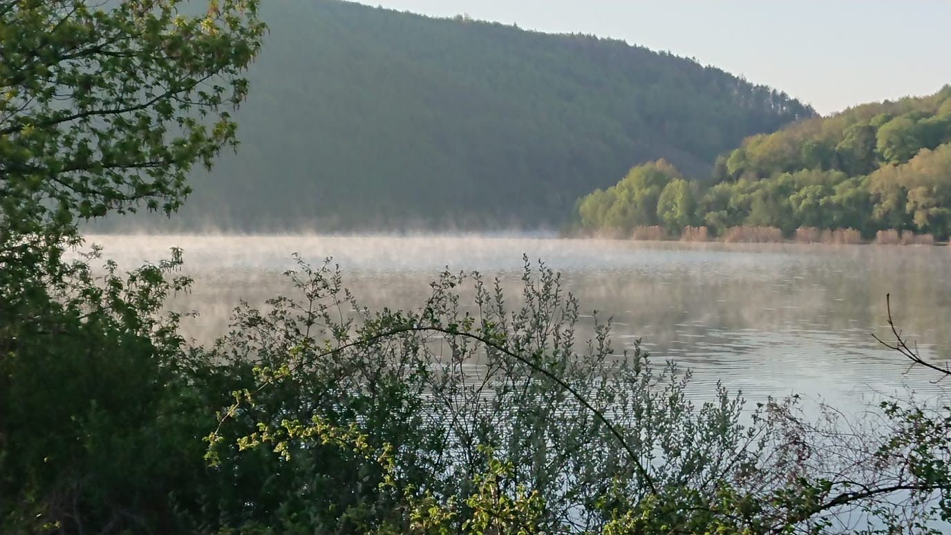 Zur persönlichen Marathon Bestzeit - Ganz ohne Bewerb